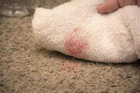 You can get rid of old carpet stains. How to Get Makeup Stains Out of Carpet | eHow | How to clean carpet, Carpet cleaning solution ...