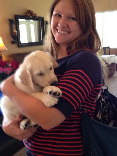 Where can i find the laws that apply to dog licensing? Potential service dog application for Stephanie (With ...