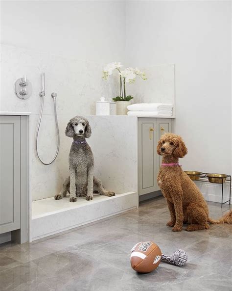 Maybe a dog bed in your main room would be appropriate too. Dog wash mud room | Dog shower, Dog crate furniture, Laura ...