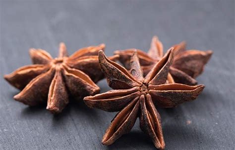 There is a game room equipped for fun leisure. Is It Safe To Use Star Anise In Cooking? | Food for ...