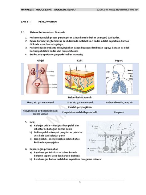 Walau bagaimanapun, soalan sains tidaklah melibatkan fakta atau terlalu direct. Soalan Topikal Sejarah Tingkatan 4 - Klewer a