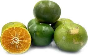 Pohon limau kasturi ini lebih dikenal dengan batang dan cabangnya yang berduri, buahnya berbentuk seperti lemon namun ukurannya lebih kecil. Khasiat Buah Limau Kasturi Untuk Kesihatan - Info ...