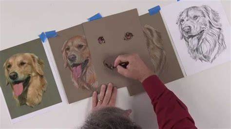 Begin by gently coloring in a section of your drawing with the sides of your colored pencils. Learn How to Draw a Dog's Nose in Colored Pencil | Color ...