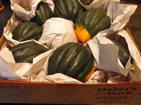 Maybe you would like to learn more about one of these? Storing Acorn Squash | Winter vegetables, Winter squash ...