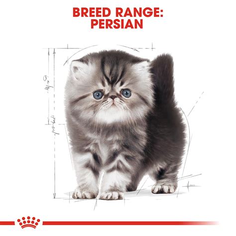 Varian royal canin urinary ini punya formula nutrisi yang tepat untuk kesehatan saluran kemih kucing kamu. Gambar Makanan Kucing Royal Canin - Koleksi Gambar HD