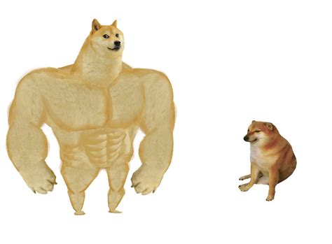 See more ideas about doge meme, doge, dog memes. Big dog small dog Memes - Imgflip