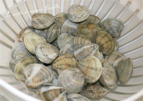 We did not find results for: COME PULIRE LE VONGOLE DALLA SABBIA - consiglio di cucina