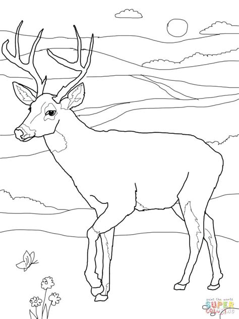 Happy smiling little baby calf. Baby Deer Coloring Pages at GetColorings.com | Free ...