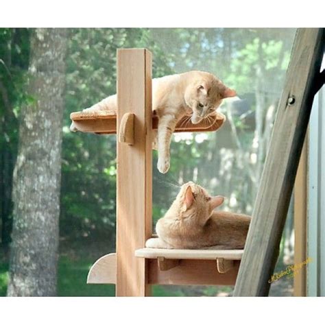 Provide shelter to outdoor cats, whether feral or stray to keep them warm in the winter. 52 Inch Double Perch Outdoor or Indoor Cat Tree - 4 ...