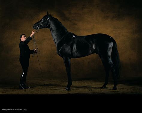 / d ə ˈ b oʊ v w ɑːr /, us: The Reel Foto: Yann Arthus-Bertrand: Fine and Furry Farm ...