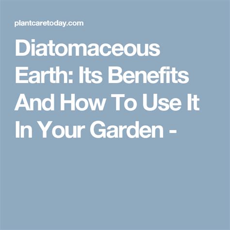 Lights attract a number of bugs and all sorts of things that eat bugs. Diatomaceous Earth Pest Control: Its Benefits And How To ...