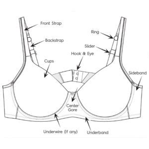 If band rides up tighten the bra band, loosen straps, adjust breasts, go down band size or your bra may be worn out. Bra Size Chart India - Explore the List of Bra Sizes | Clovia