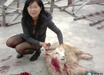 Chinese woman kill goat please subscribe to my channel help me reach 100 subscribers share this video. Traveled China: Beautiful girls, killing sheep