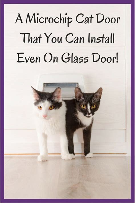 Of all the cat doors i have checked this is the best one and below you will see why. Cat Door In Window - Best Microchip Cat Flap Door Review ...