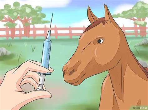 Botulismus ist eine vergiftung, die durch den verzehr von mit botulinumtoxin kontaminierten lebensmitteln verursacht wird; Botulismus bei Pferden vorbeugen - wikiHow