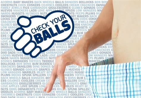 Testicular cancer (tc) represents 5% of urological tumours affecting mostly younger males. The Testimatic lets doctors check for testicular cancer ...