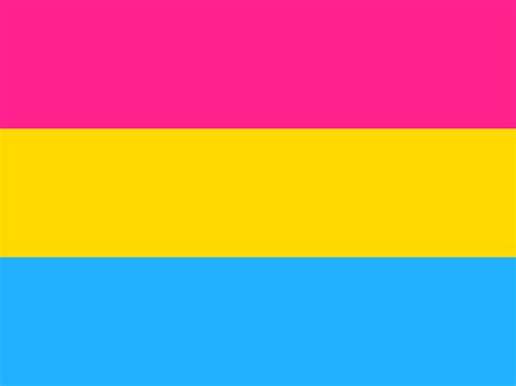 The difference from bisexual explained. The Gay Almanac: Happy Pansexual Pride Day -- December 8