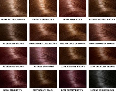 Black hair with caramel highlights. HEALTH - Hair dye can cause cancer | Order Of Truth