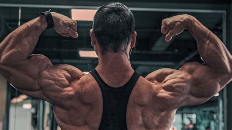 Die preise für produkte in der kategorie hantelbänke für zuhause variieren von 130 euro (am günstigsten) bis 649 euro (am teuersten). HOMEWORKOUT RÜCKEN - DAS BESTE SETUP FÜR ZU HAUSE - YouTube