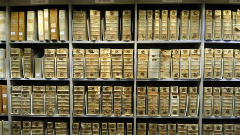 Step Into the Vatican's Secret Archives - HISTORY
