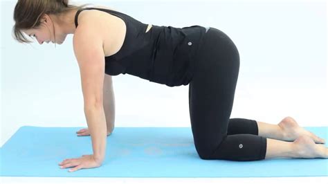 Detailed description of reclined cat cow pose (supta bitilasana marjaryasana) with benefits, yoga sequencing ideas with pictures, contraindications, modifications. Yoga for cyclists: Cat - Cow pose by Total Women's Cycling ...