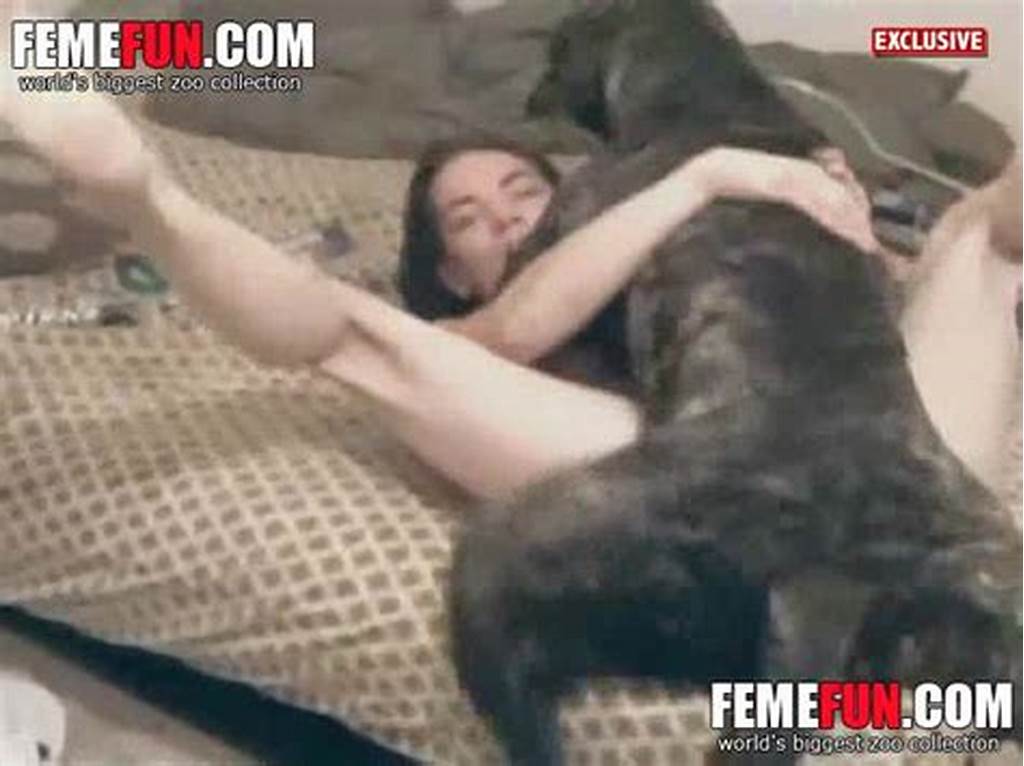 Hot showing porn images for wife fucked by dog beastiality collection #15 f...