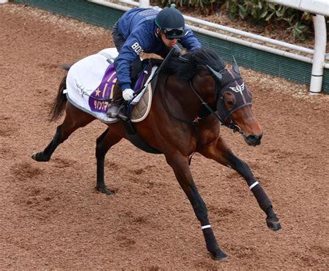 It is run over a distance of 1,200 metres (approximately 6 furlongs) at chukyo racecourse in late march. 【高松宮記念】ダノンスマッシュ好時計4F51秒7/競馬・レース ...