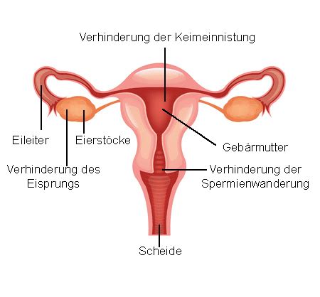 Genau dies ist der moment, ab dem die pille wirkt. Pille wirkung ab wann. Ab wann wirkt die Pille nach erster ...