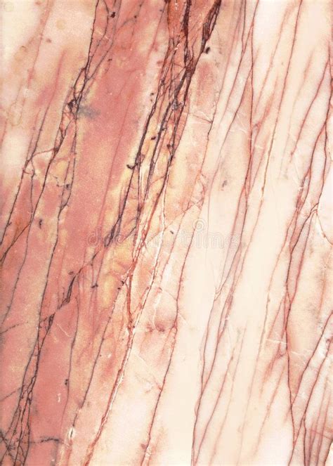 When it comes to choosing a kitchen countertop, one that has been growing in popularity in recent years is onyx. Pink marble background texture. Pink marble, onyx ...