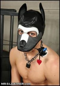 Customisation options are shown further in the description. New Growler Open Chin Pup Hood - The Happy Pup