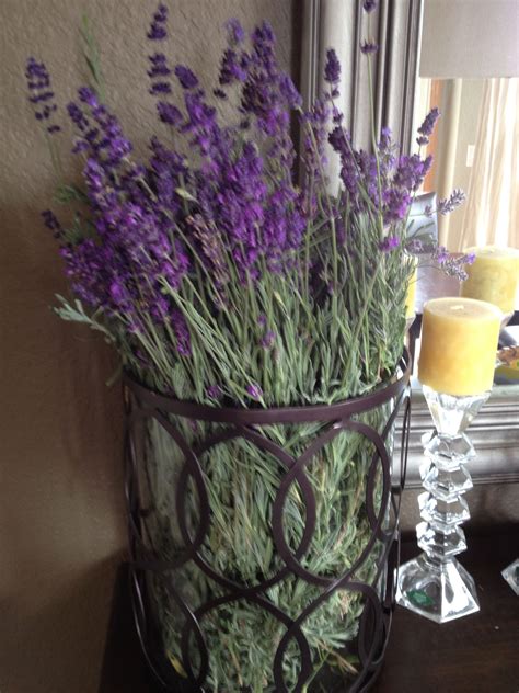 This lavender is sold as an herb rather than as an edible flower. Fresh lavender | Lavender, Flowers, Favorite scents