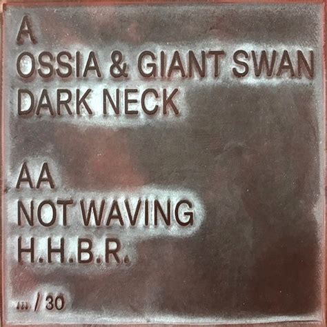 H&m store music playlist 2020. Dark Neck / H.H.B.R. | Ossia & Giant Swan / Not Waving ...