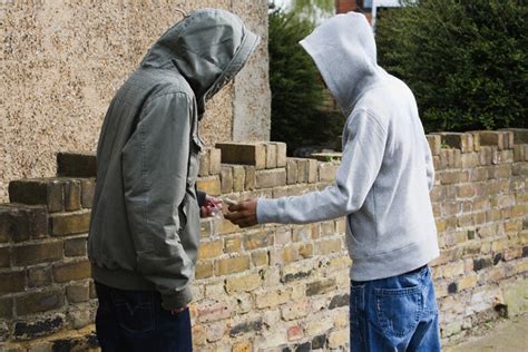 Drug dealers' cannabis factory plans scuppered by police raid on home guarded by pit bull tomas staukauskas and gytautas grudzinskas struggled to find the jobs they hoped for hulldailymail Drug dealer bust in Windmill Park | Boksburg Advertiser