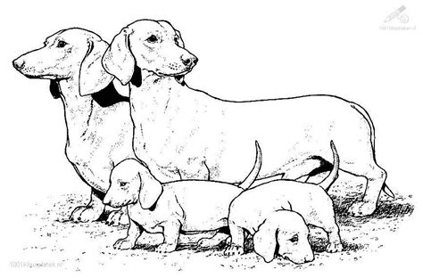 4.5 out of 5 stars 76. realistic puppy colouring pages - Clip Art Library