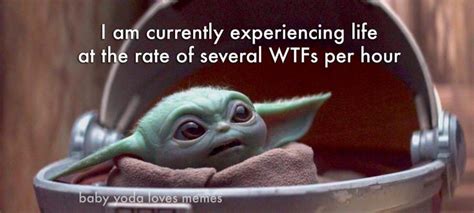 Whether or not you actually. Pin by Roseflowerine on Baby Yoda | Yoda funny, Love memes ...