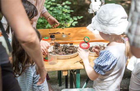 1924 wurden die gebäude unter denkmalschutz gestellt. Sommerfest am Haus des Waldes: Kleine Forscher entdecken ...