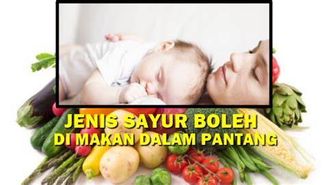 Berdasarkan hasil penelitian modern, buah sayur dalam alqur'an tersebut, merupakan buah dan sayur yang ternyata memiliki banyak manfaat untuk kesehatan. SAYUR YANG BOLEH DI MAKAN KETIKA DI DALAM PANTANG