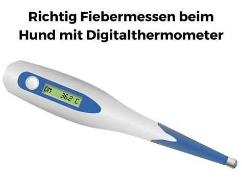 Die normaltemperatur beim hund liegt bei 37,5 bis 39 grad celsius. Ab wann hat ein Hund Fieber? Erkennen, messen und senken ...