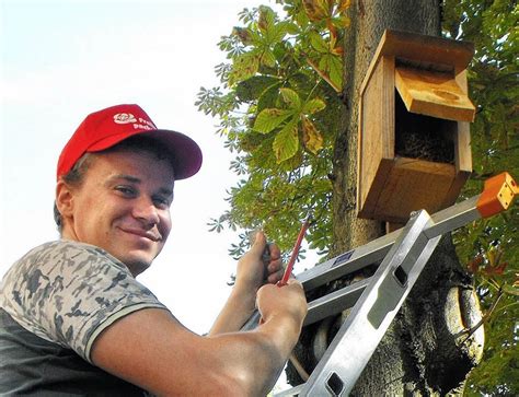 Fudder ist eine newsseite aus freiburg: Meisen in städtischem Fressauftrag - Freiburg - Badische ...