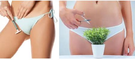 Laser hair removal for bikini area or pubic area is a commonly used technique to eliminate unwanted body hairs. Health Benefits Of Keeping Your Pubic Hair - JosBuy