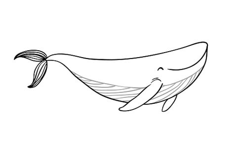 A Small Cartoon Whale Nice Little Fish Animals Of The Sea ...