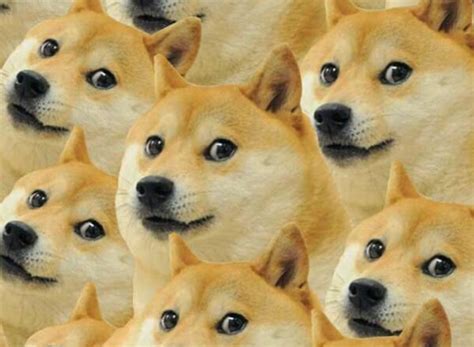 We provide the resources to help make informed decisions. Dogecoin Mascot - The History Of Dogecoin Doge - Find all ...