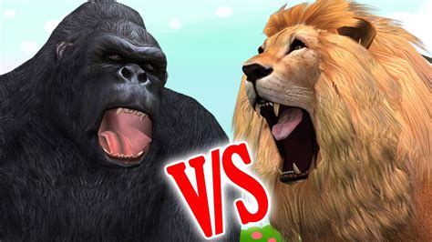 Lion vs gorilla fight to death. Lion Vs Gorilla Cartoon Finger Family Children Nursery ...