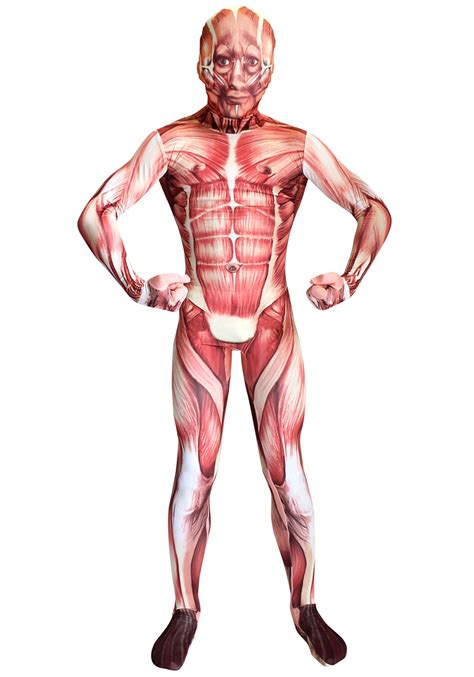 Muscle charts of the huma. Kids Muscle Morphsuit Costume