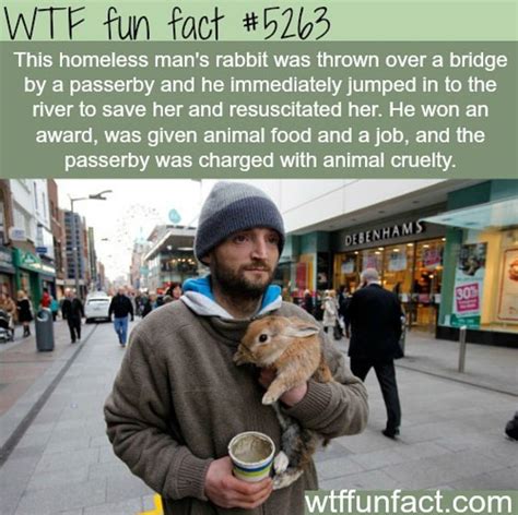 Pin by Fern on WTF Fun Facts | Wtf fun facts, Fun facts, Weird facts