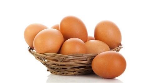 Membuat pembuat foto baru semuanya desain baru. Penurunan Harga Telur dan Daging Ayam Ras Pengaruhi ...