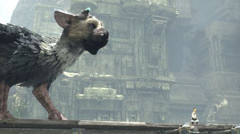 Nie oficjalny fan page bartosza kurka � kochasz siatkówkę ? Wallpaper The Last Guardian, Trico, Best Games 2016, Games ...