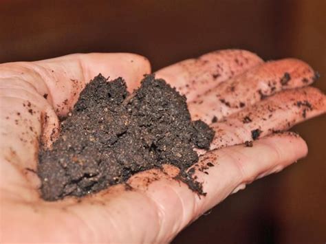 Generally speaking, loam describes the ideal soil composition for most garden plants. What Does Loam Mean to a Gardener? | Garden soil, Organic ...