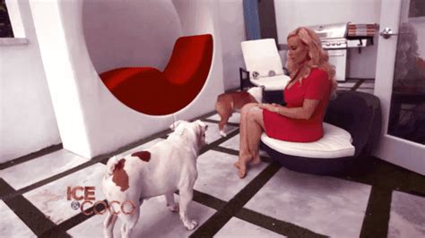 Browse coco austin pictures at contactmusic.com, one of the largest collections of coco austin follow coco austin. Inside Ice-T and Coco Austin's Huge House Which Features a ...