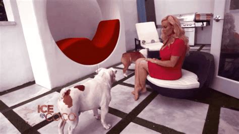 Coco austin and ice t said a sad goodbye to their adored bulldog spartacus on sunday. Inside Ice-T and Coco Austin's Huge House Which Features a ...